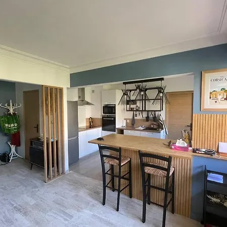 Appartement 3 Etoiles 63M2 Renove En Hyper Centre Ajaccio *